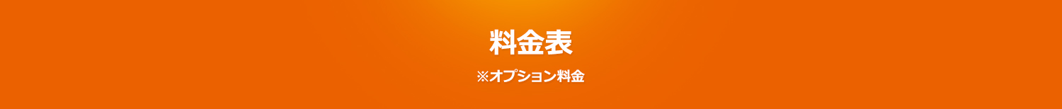 料金表※オプション料金