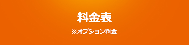 料金表※オプション料金