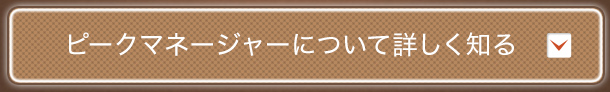 ピークマネージャーについて詳しく知る